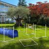 PawHut Dog Agility Training Equipment with 9.8' Tunnel & Canine Whistle, Dog Obstacle Course for Backyard with Pause Box, Includes Dog Agility Tunnel